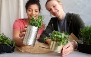 Best Eco-Friendly Living Tips USA 2025